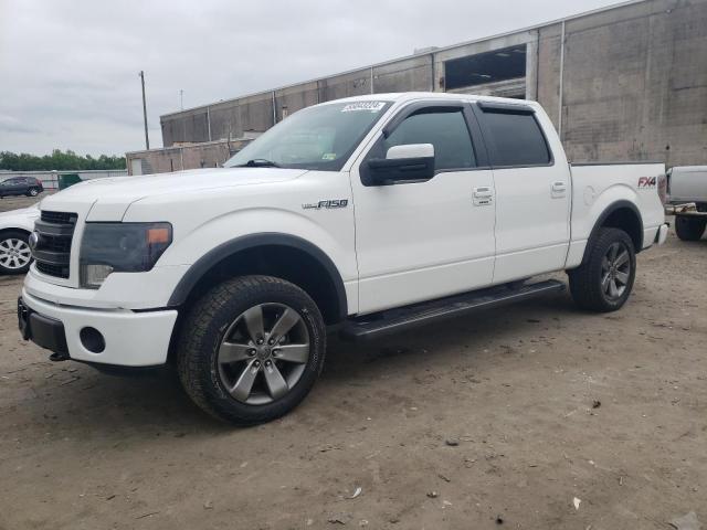 2013 Ford F150 Supercrew VIN: 1FTFW1EF1DKG01892 Lot: 55043224