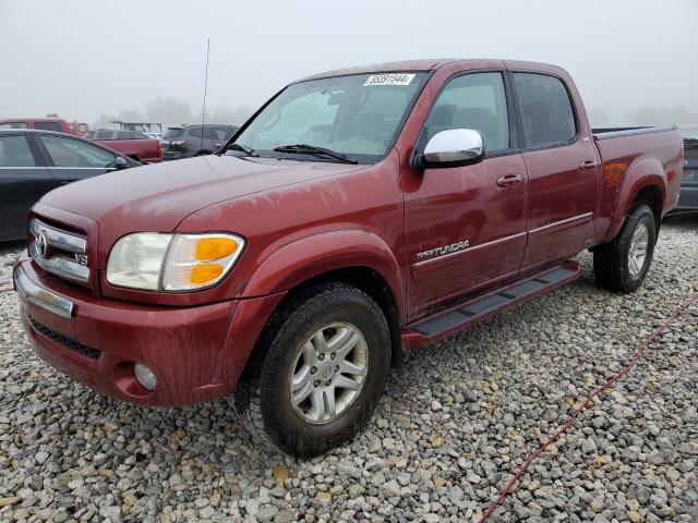 2004 Toyota Tundra Double Cab Sr5 VIN: 5TBDT44124S456533 Lot: 55391544