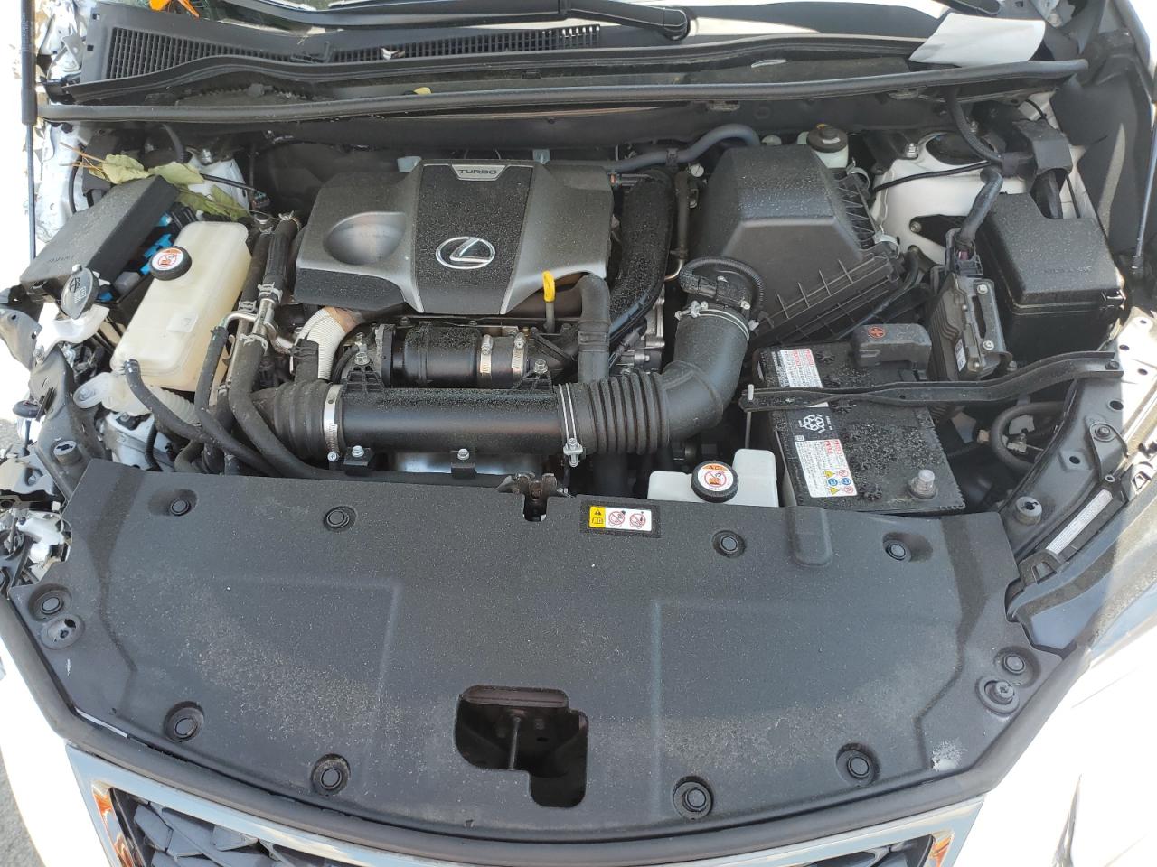 JTJSARDZ0M5025098 2021 Lexus Nx 300 Base