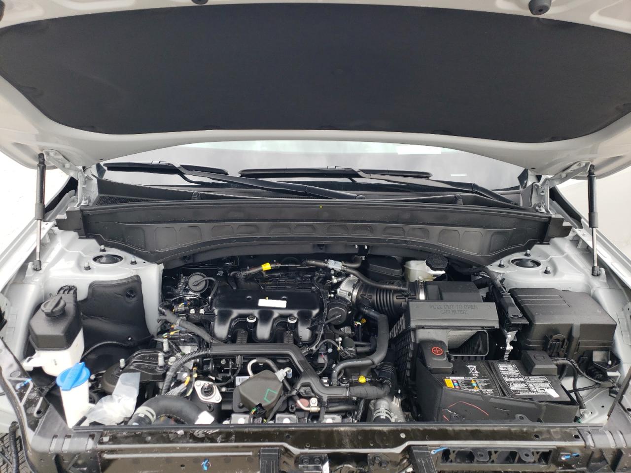 5XYP5DGC9RG447327 2024 Kia Telluride Sx