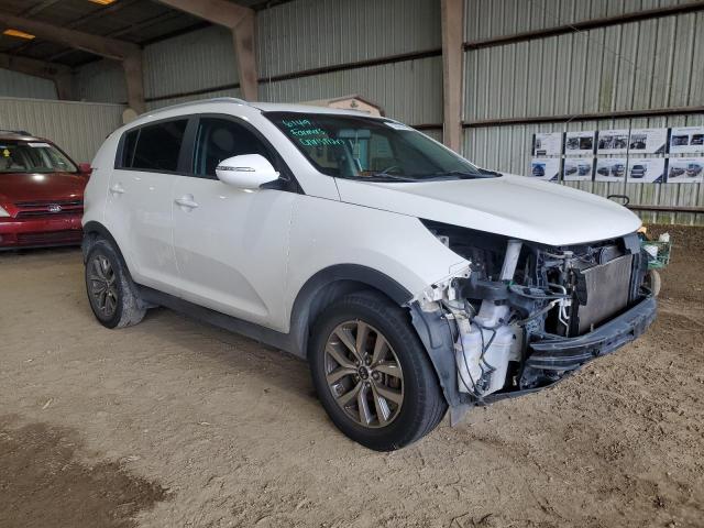 2014 Kia Sportage Base VIN: KNDPB3AC2E7656086 Lot: 55545444