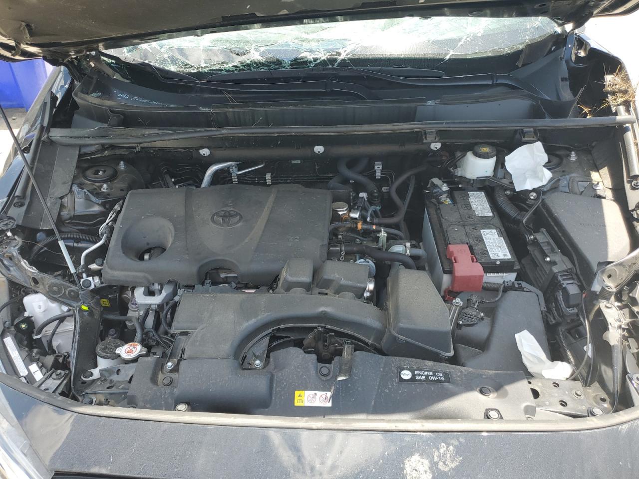 2T3W1RFV5NW228819 2022 Toyota Rav4 Xle