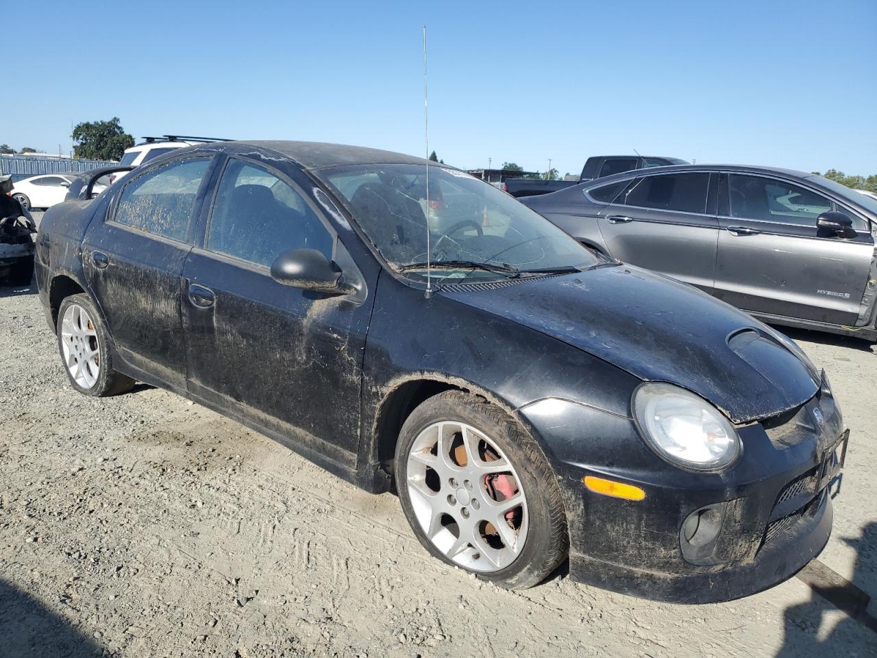 1B3ES66S83D195257 2003 Dodge Neon Srt-4