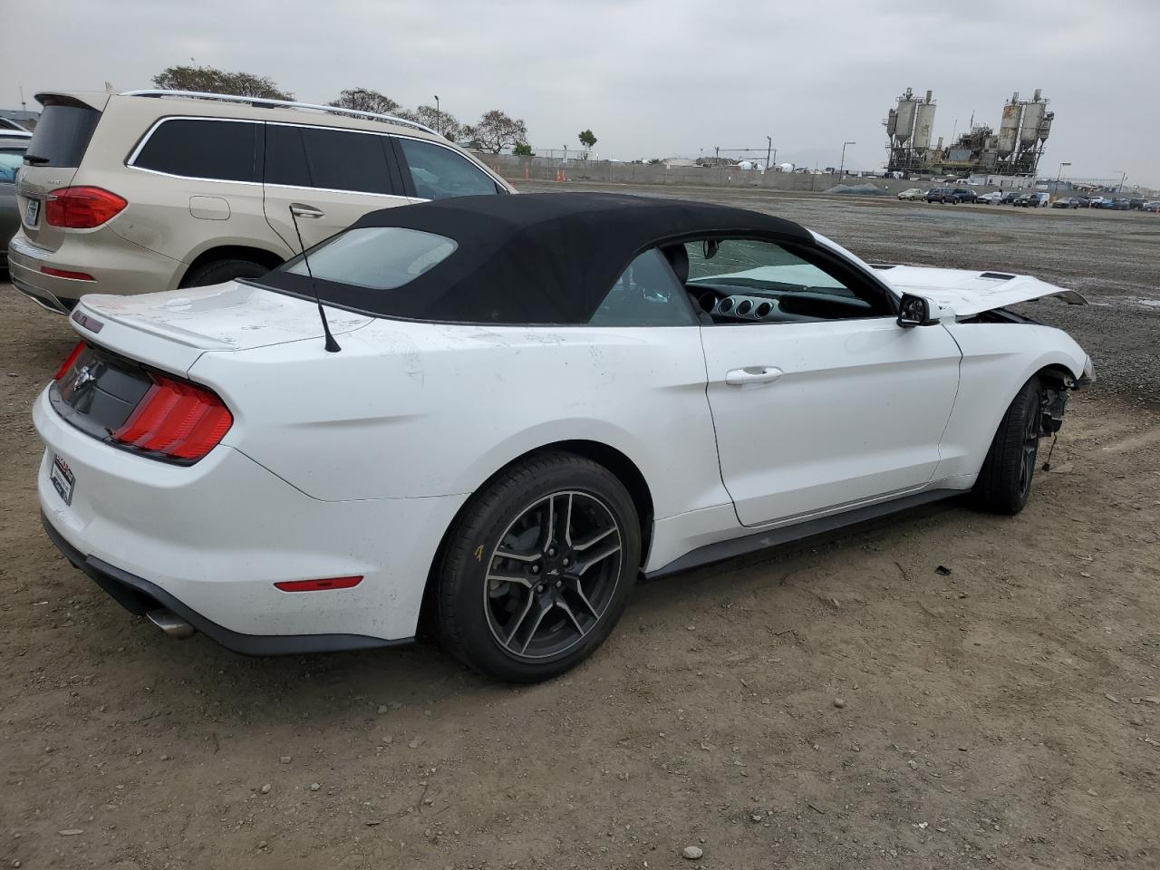 Lot #3003932514 2020 FORD MUSTANG