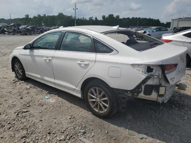 2019 Hyundai Sonata Se VIN: 5NPE24AF9KH734815 Lot: 53830834