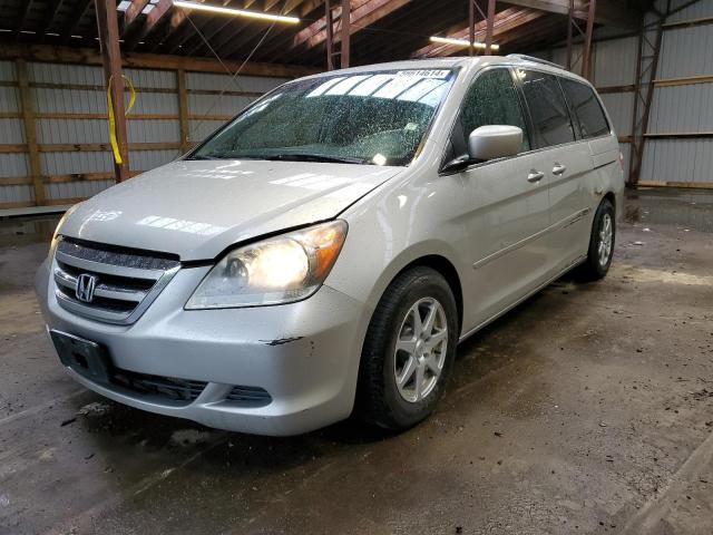 2005 Honda Odyssey Touring VIN: 5FNRL38805B124501 Lot: 56614614