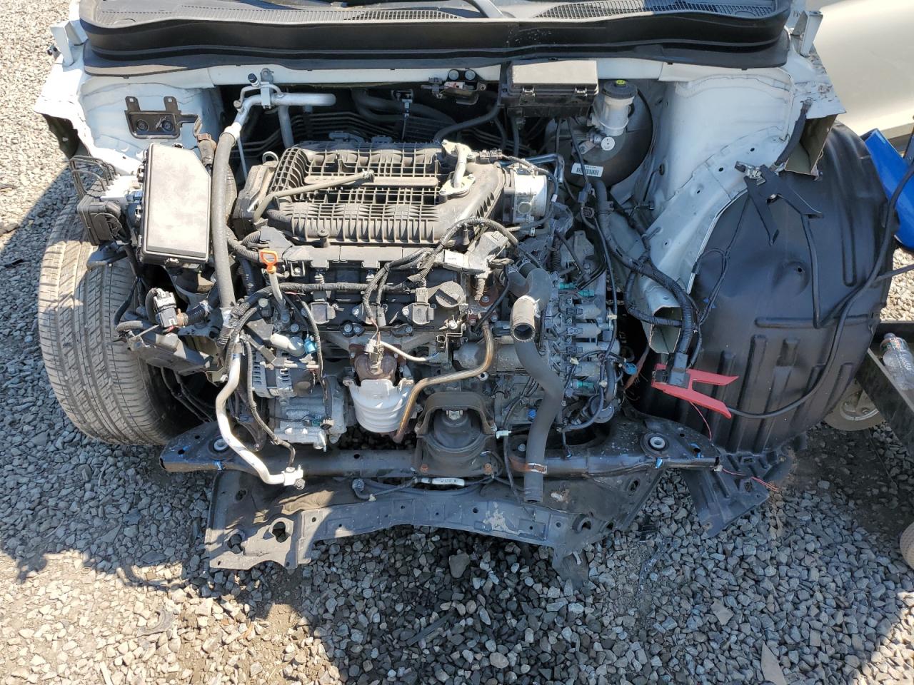 5FNYF6H5XKB084918 2019 Honda Pilot Exl