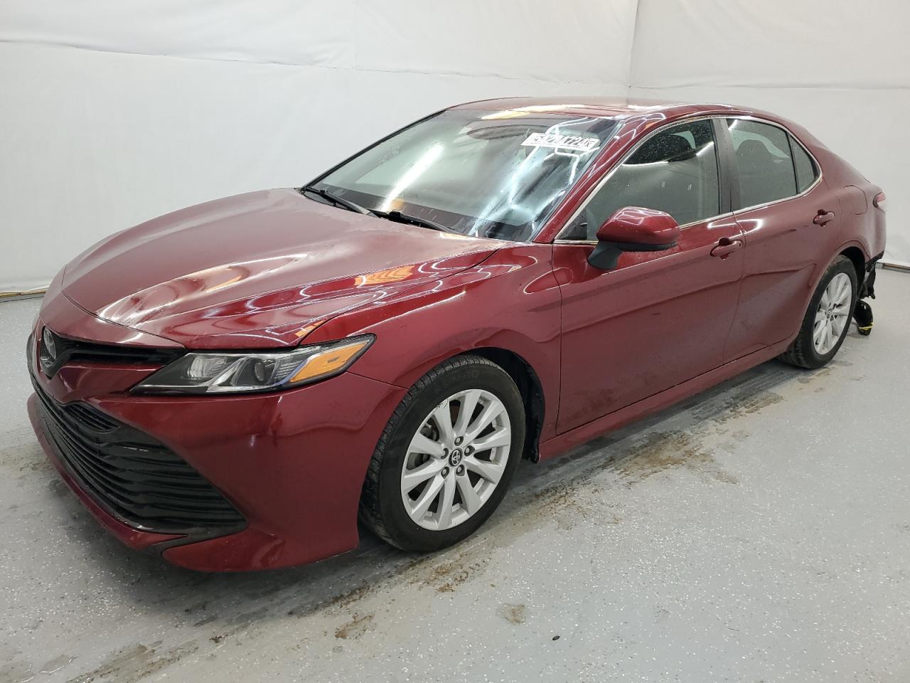 4T1B11HK5KU830899 2019 Toyota Camry L