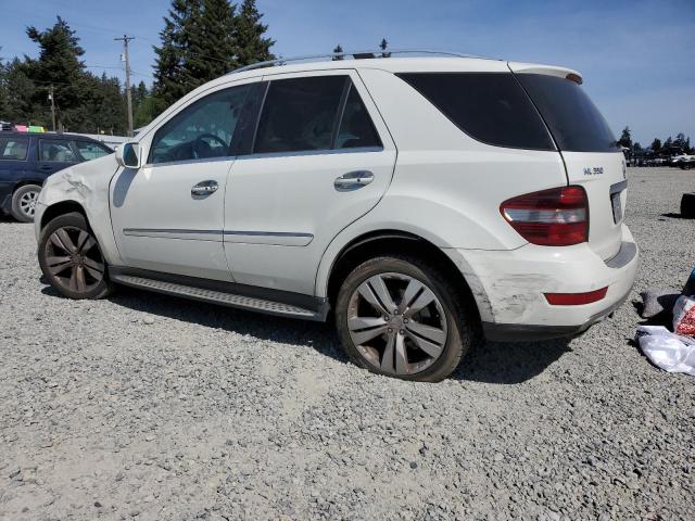 2010 Mercedes-Benz Ml 350 4Matic VIN: 4JGBB8GB5AA562279 Lot: 54757754