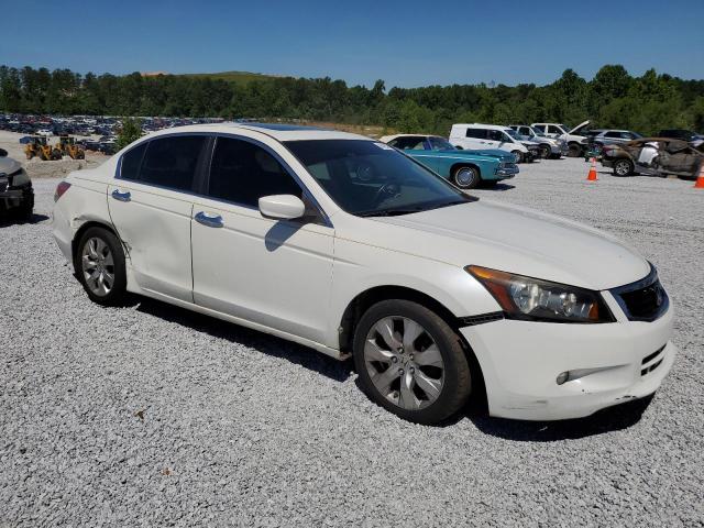 1HGCP368X9A004248 2009 Honda Accord Exl