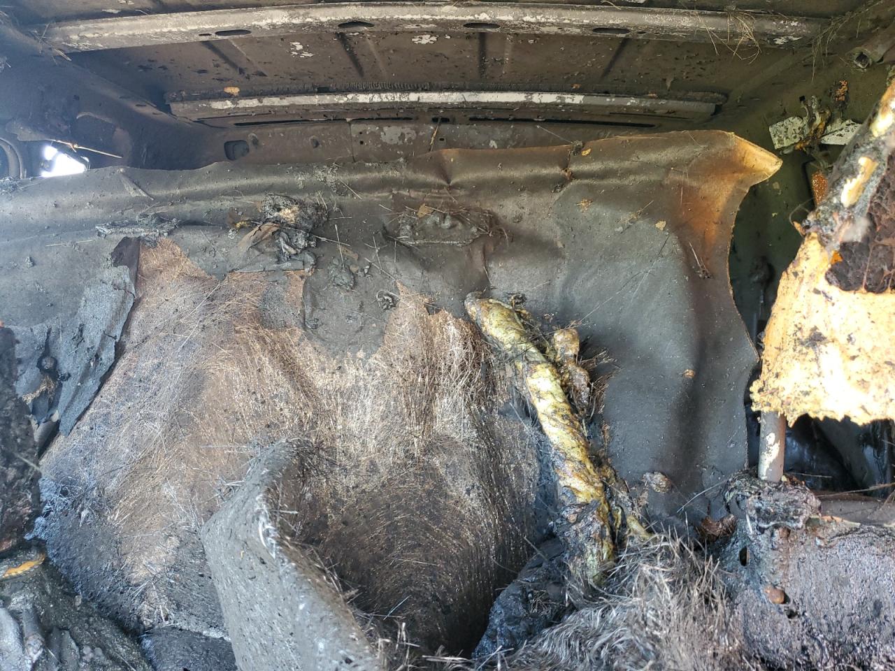 ZACNJDD15NPN70099 2022 Jeep Renegade Limited