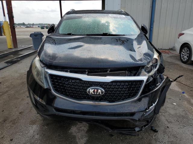 2016 Kia Sportage Ex VIN: KNDPC3ACXG7845455 Lot: 54789484