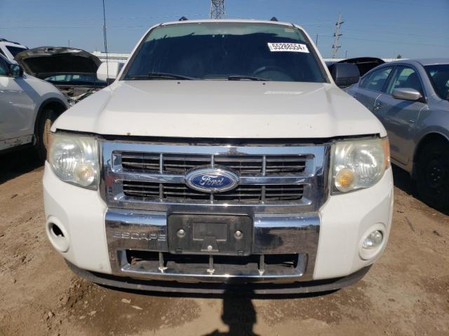 2010 Ford Escape Limited VIN: 1FMCU0EG3AKB61399 Lot: 55288554