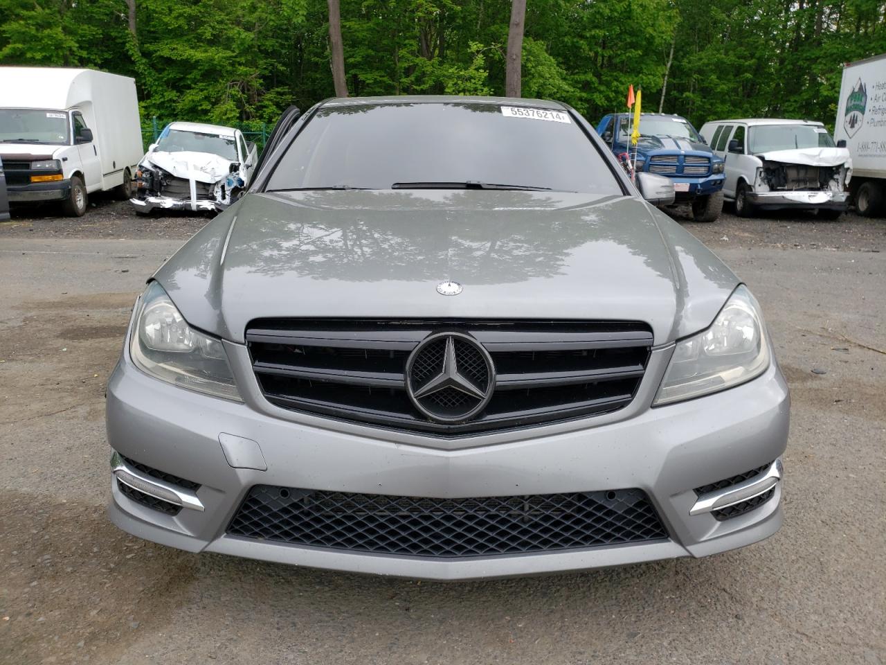 WDDGF8AB7DR298212 2013 Mercedes-Benz C 300 4Matic