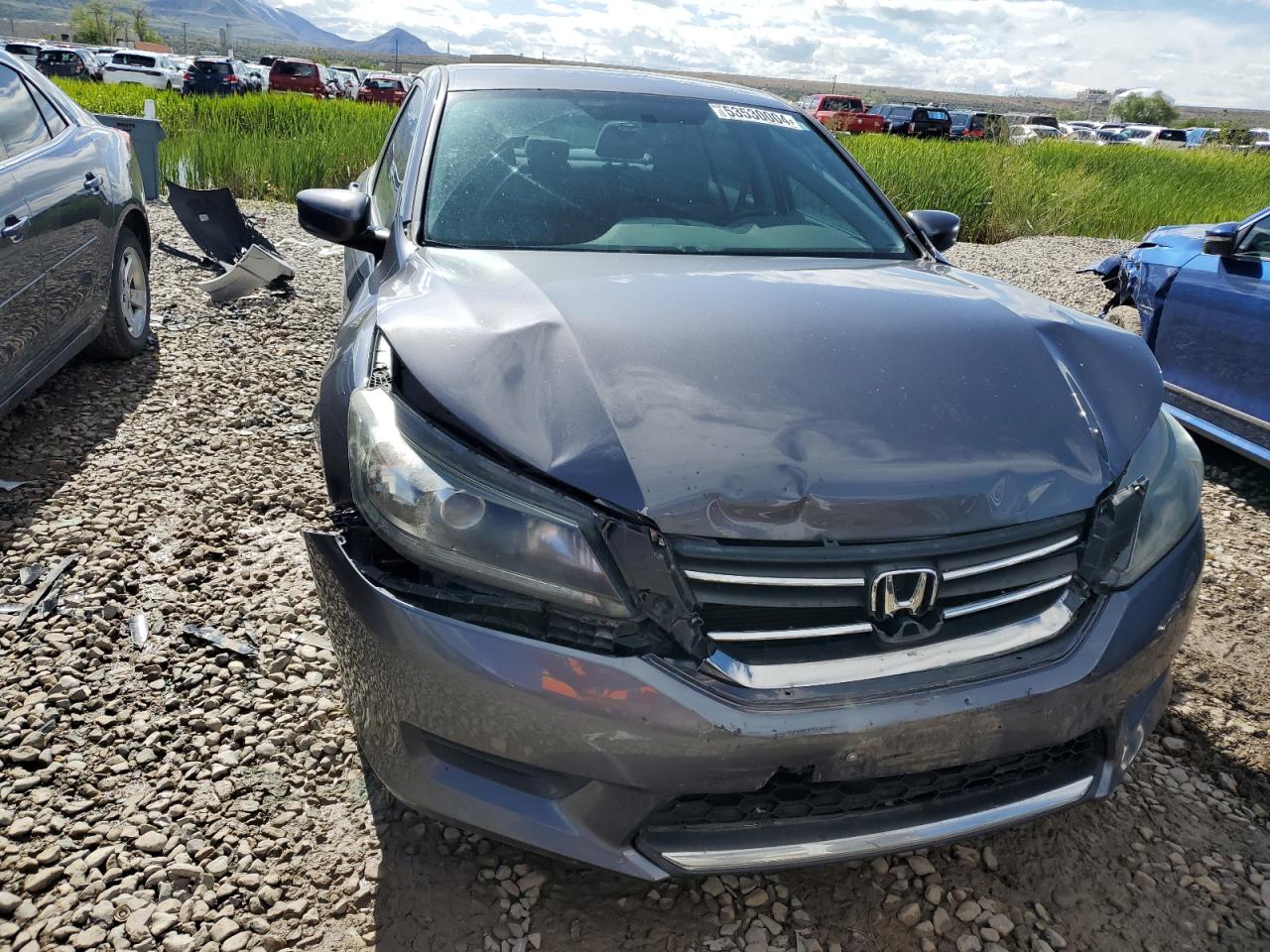 1HGCR2F37DA158580 2013 Honda Accord Lx