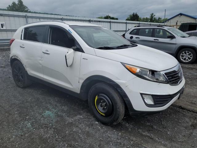 2013 Kia Sportage Ex VIN: KNDPCCA21D7472888 Lot: 55441954