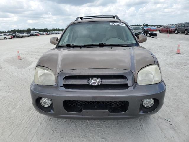 2005 Hyundai Santa Fe Gls VIN: KM8SC13D35U953513 Lot: 55694354