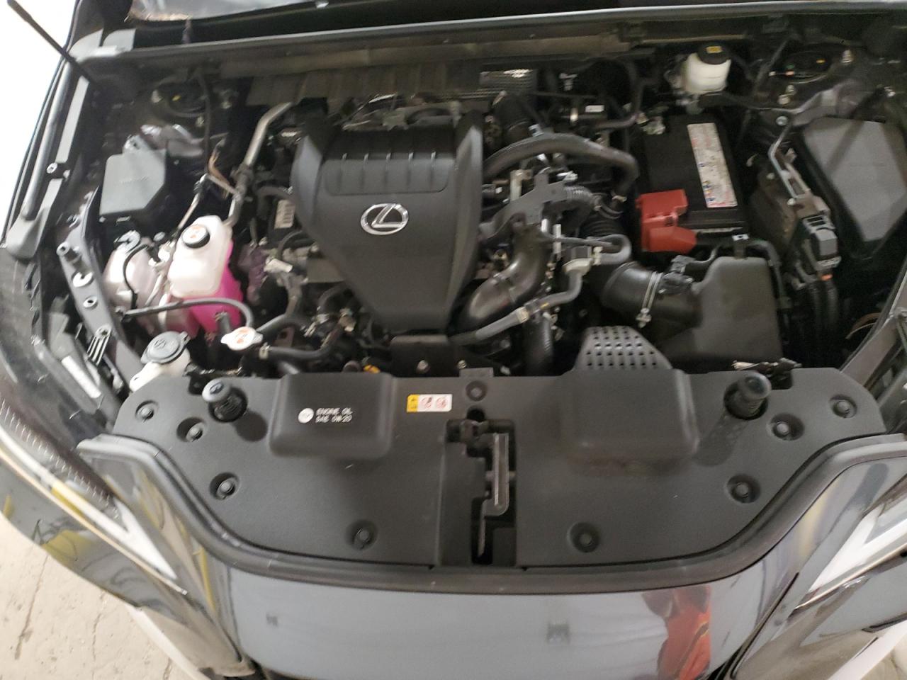 JTJKGCEZ5N5001505 2022 Lexus Nx 350