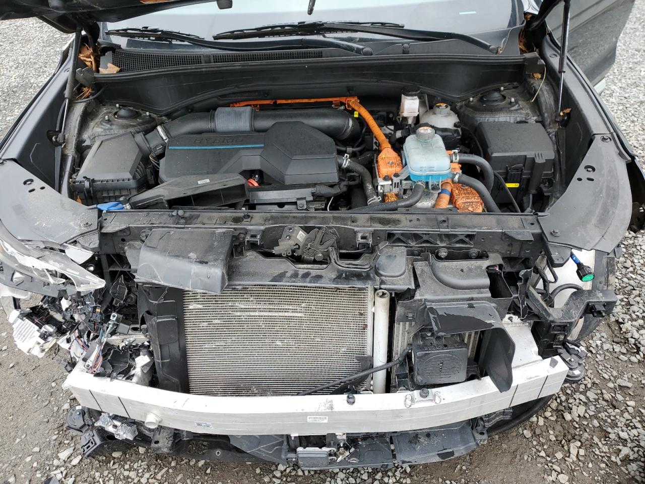 KM8S6DA27NU024418 2022 Hyundai Santa Fe Sel