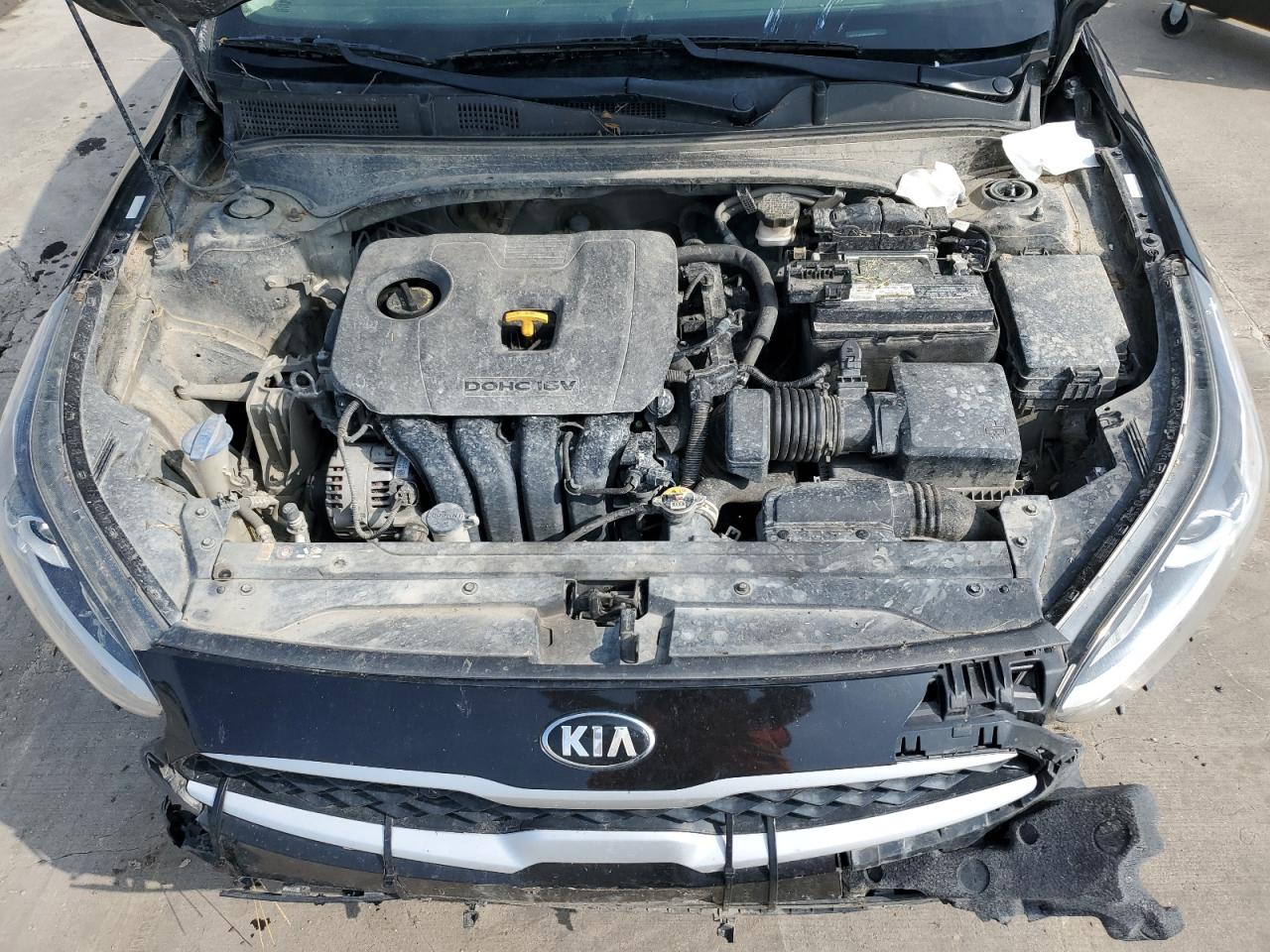 3KPF24AD0KE060481 2019 Kia Forte Fe