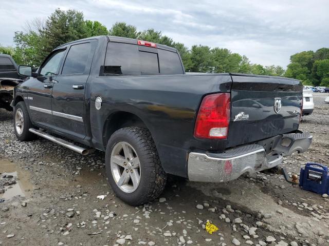 2009 Dodge Ram 1500 VIN: 1D3HV13T29J528735 Lot: 56073874