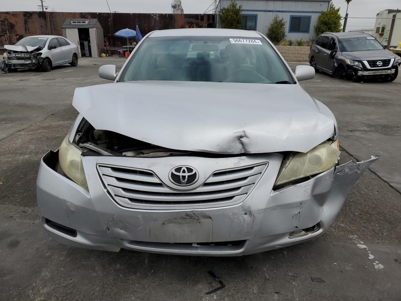 4T4BE46K19R116227 2009 Toyota Camry Base