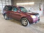 HONDA PILOT EXL photo