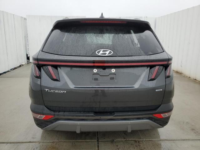 2024 Hyundai Tucson Limited VIN: 5NMJECDE0RH353283 Lot: 55002494