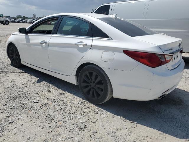 2011 Hyundai Sonata Se VIN: 5NPEC4AC6BH221184 Lot: 55683304