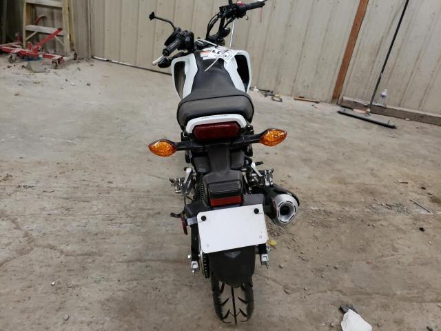 2024 HONDA GROM 125 MLHJC9213R5200485