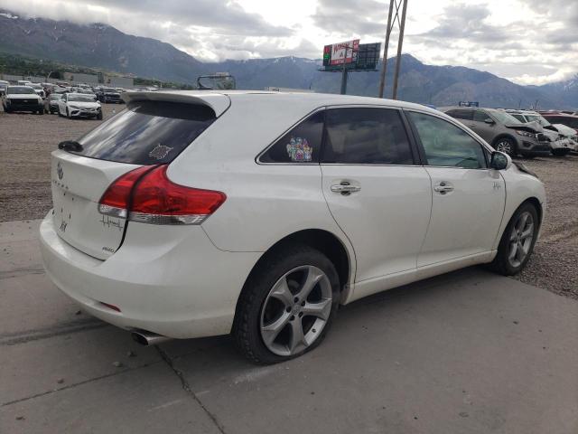 2009 Toyota Venza VIN: 4T3BK11A19U008231 Lot: 55662514