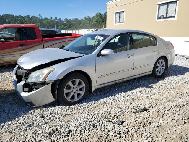 Lot #2526476901 2008 NISSAN MAXIMA SE salvage car