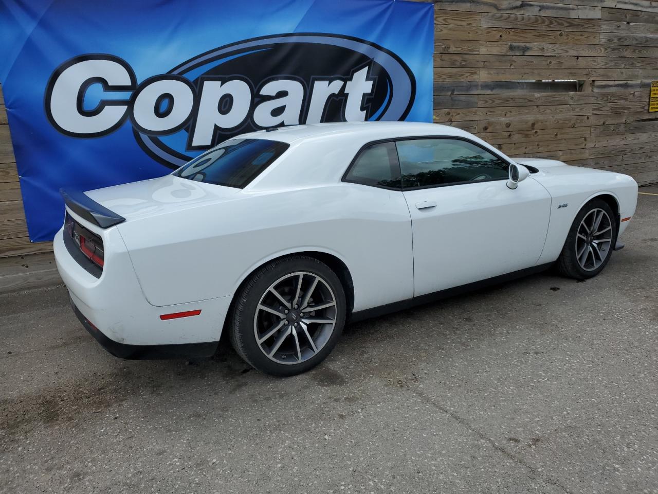 2C3CDZBT5PH504101 2023 Dodge Challenger R/T