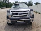 FORD F150 SUPER photo