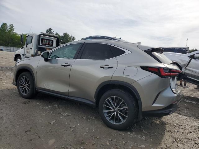 2023 LEXUS NX 350 2T2AGCEZ4PC031160