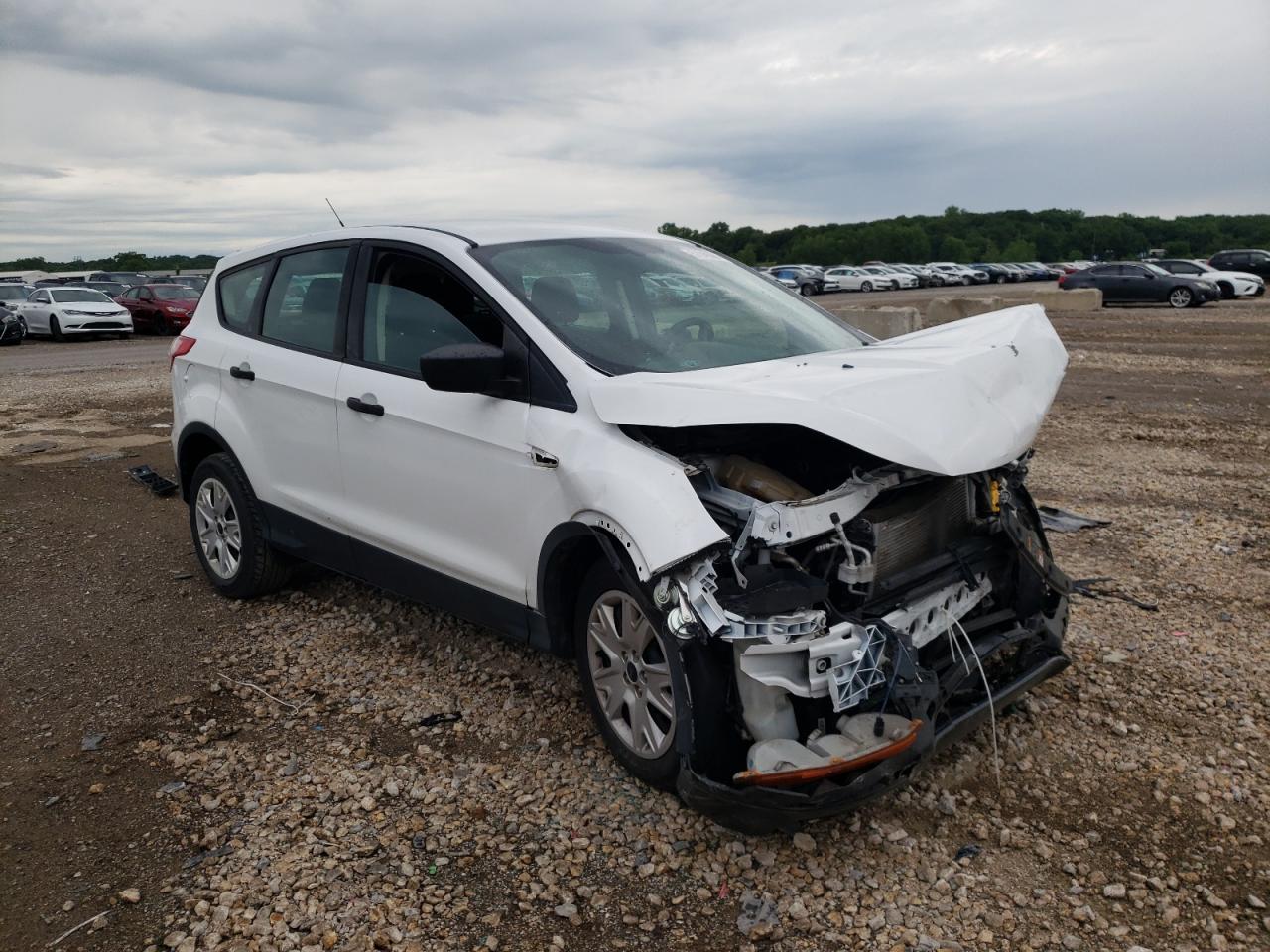 Lot #2994660408 2014 FORD ESCAPE S