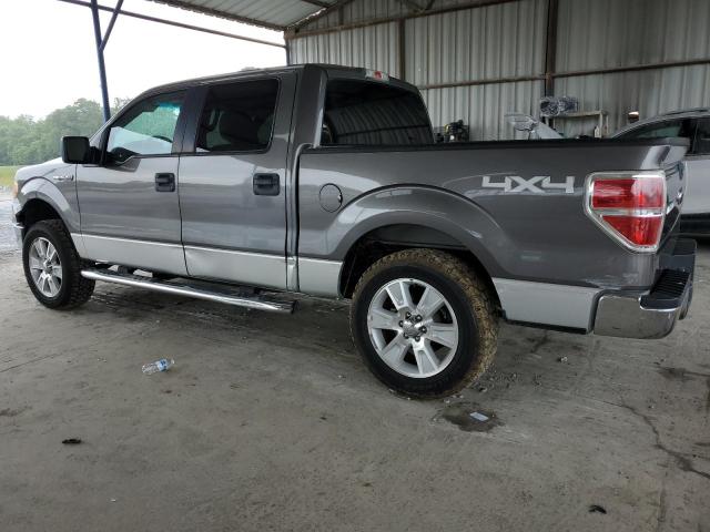 1FTEW1E85AKE14776 | 2010 Ford f150 supercrew