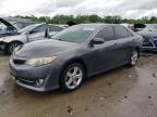 TOYOTA CAMRY L photo