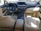 LEXUS RX 350 BAS photo