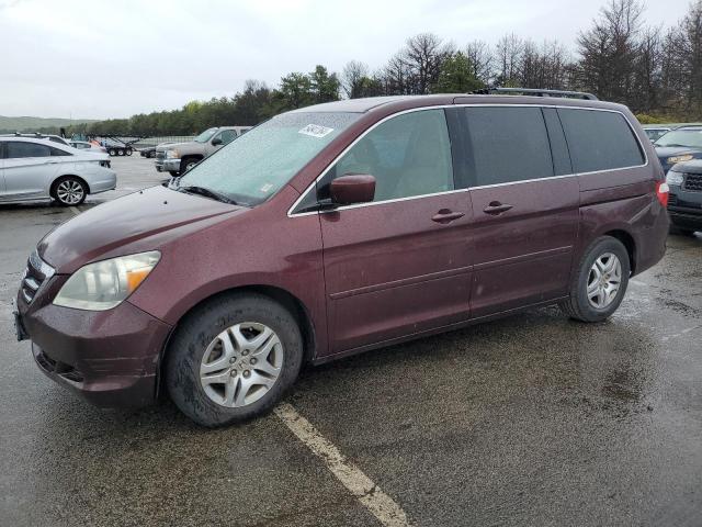 Lot #2542499927 2007 HONDA ODYSSEY EX salvage car