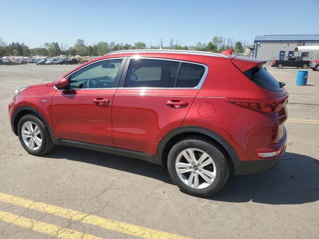 2019 Kia Sportage Lx VIN: KNDPMCAC9K7495645 Lot: 53014654