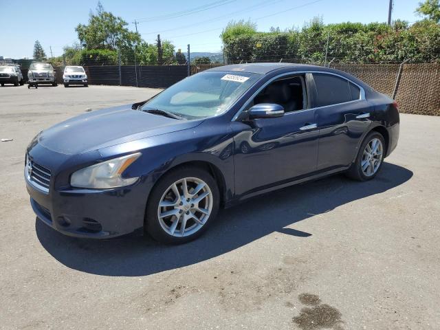 Lot #2542469896 2010 NISSAN MAXIMA S salvage car