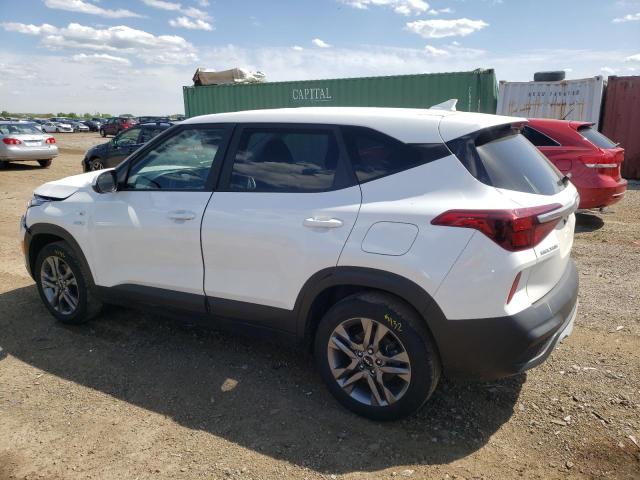 2022 Kia Seltos Lx VIN: KNDEPCAA8N7324354 Lot: 53980084