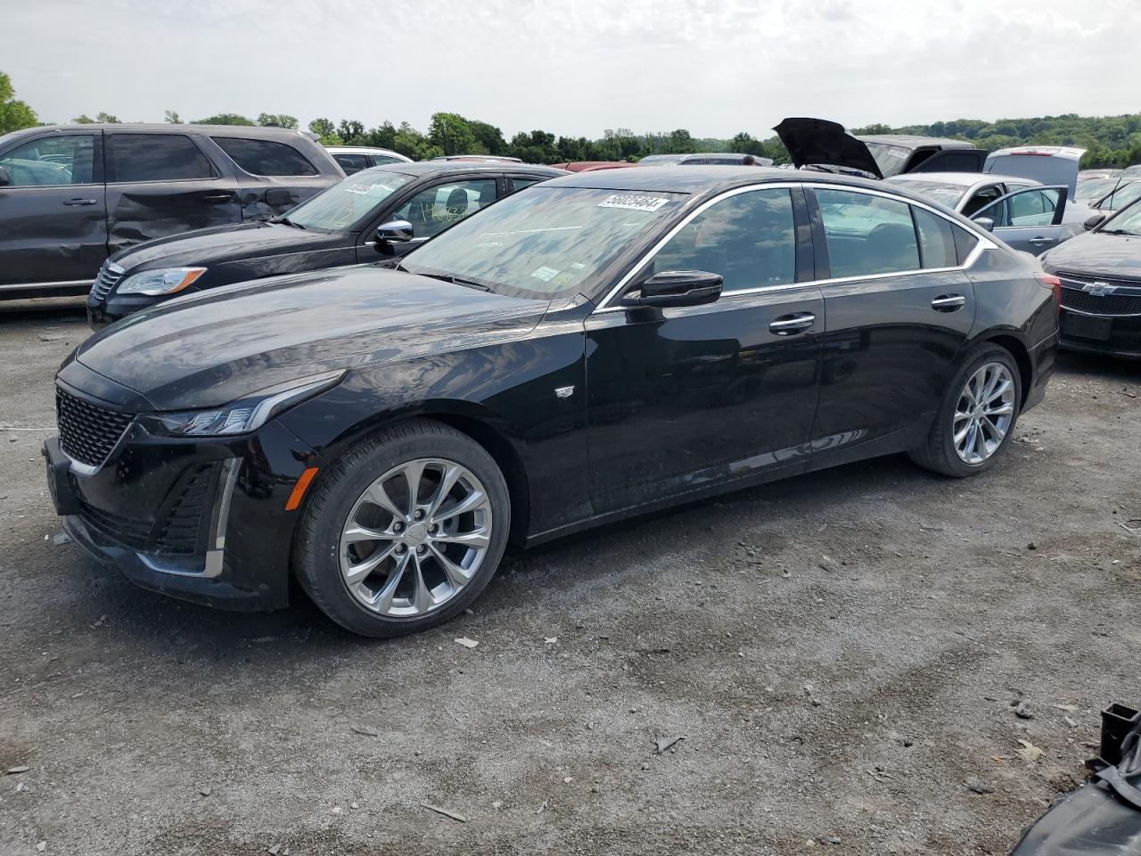 2022 Cadillac Ct5 Premium Luxury vin: 1G6DN5RKXN0121584