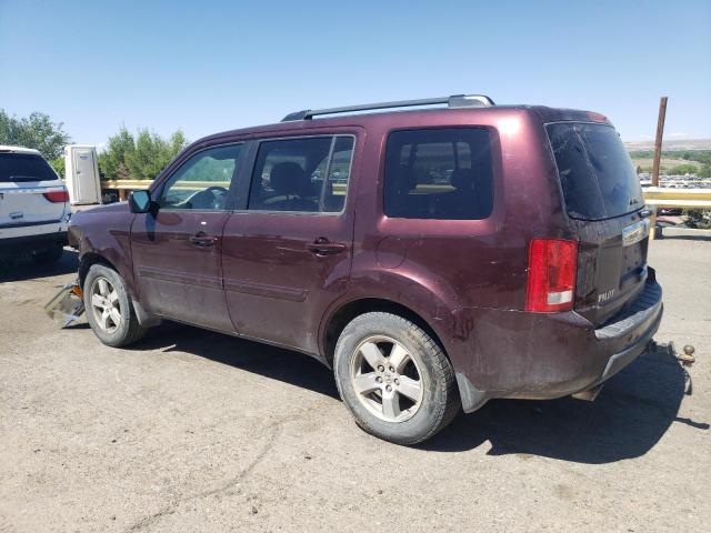 2010 Honda Pilot Exl VIN: 5FNYF4H55AB022667 Lot: 54383064