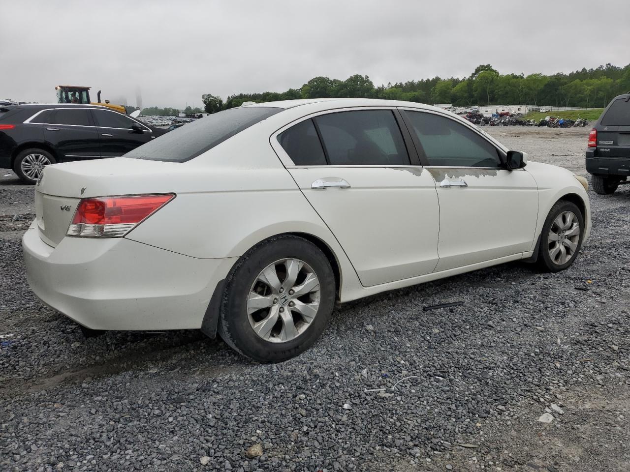 5KBCP3F81AB005560 2010 Honda Accord Exl