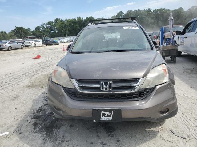 2010 Honda Cr-V Lx VIN: 5J6RE3H32AL011942 Lot: 53595934