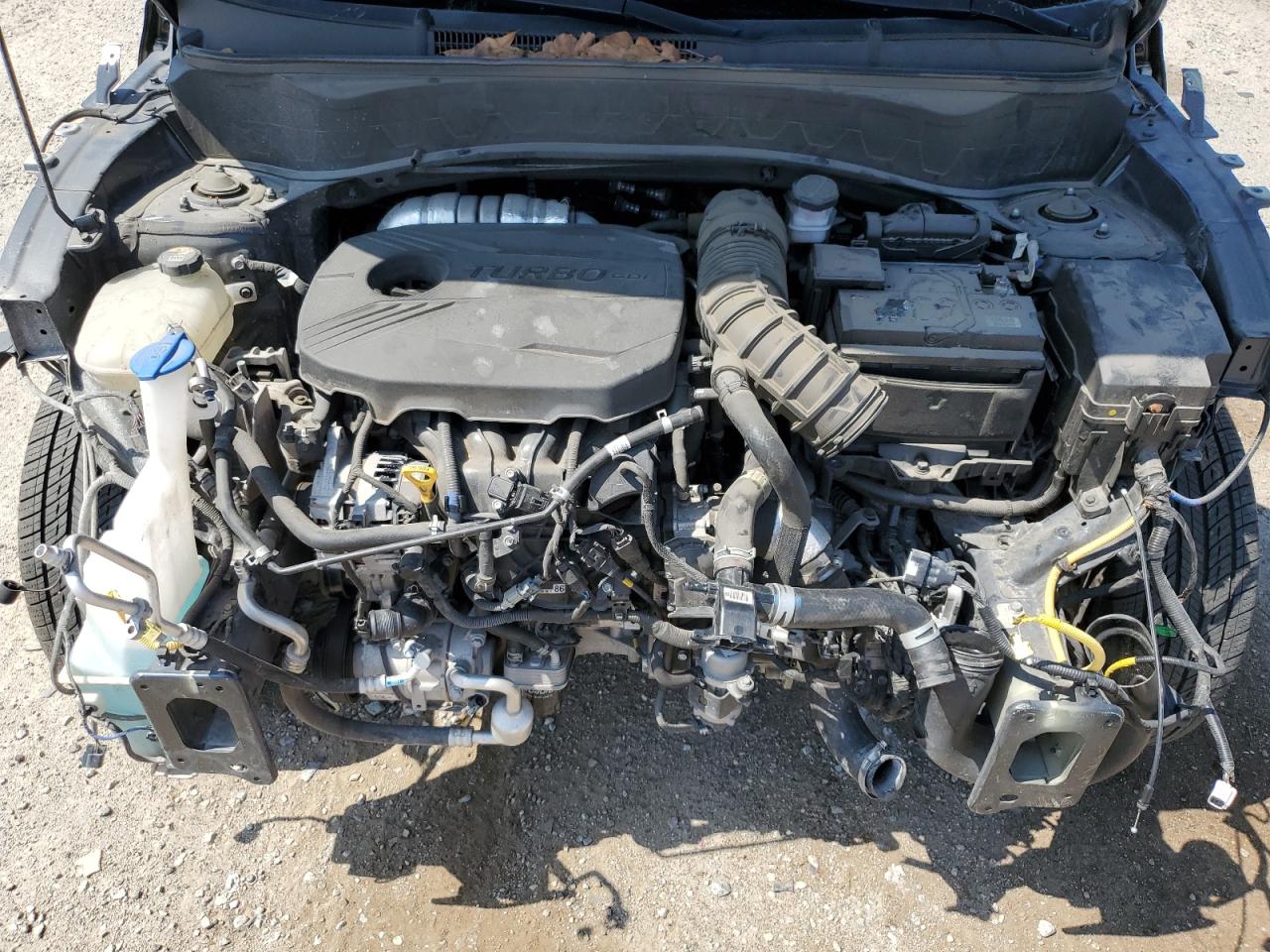 KNDETCA24M7073982 2021 Kia Seltos Sx