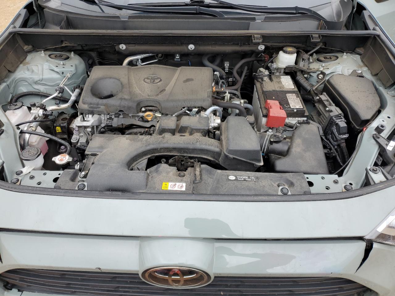 2T3C1RFVXNW209251 2022 Toyota Rav4 Xle Premium