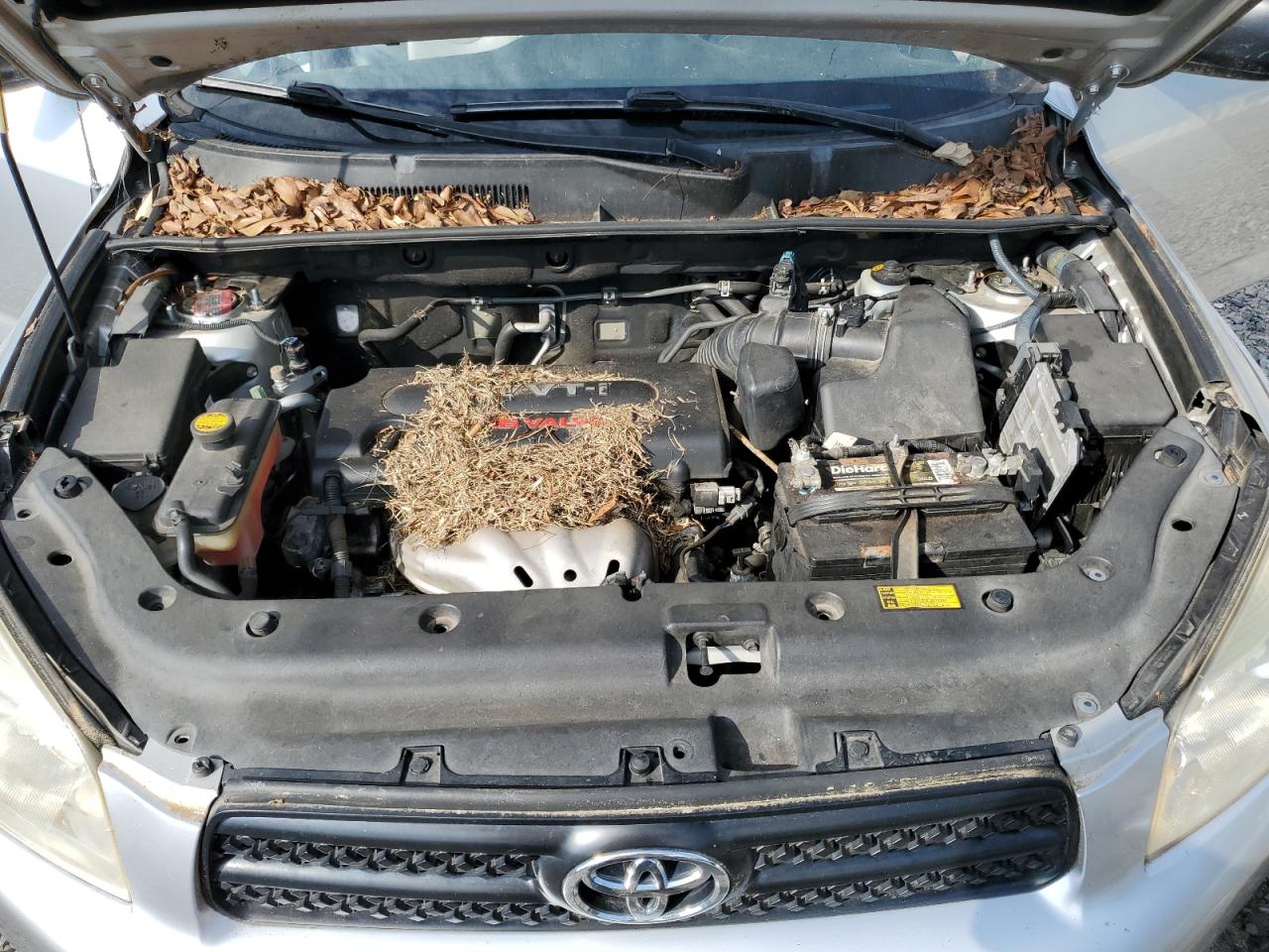 JTMZD33V876020878 2007 Toyota Rav4